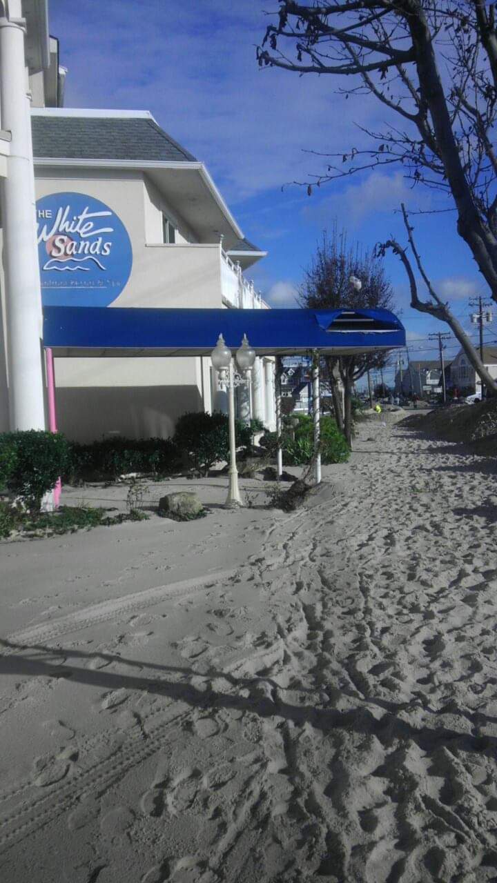 Beachfront hotel with sandy pathway and trees.